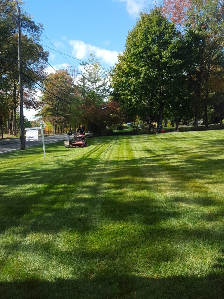 Lawn mowing